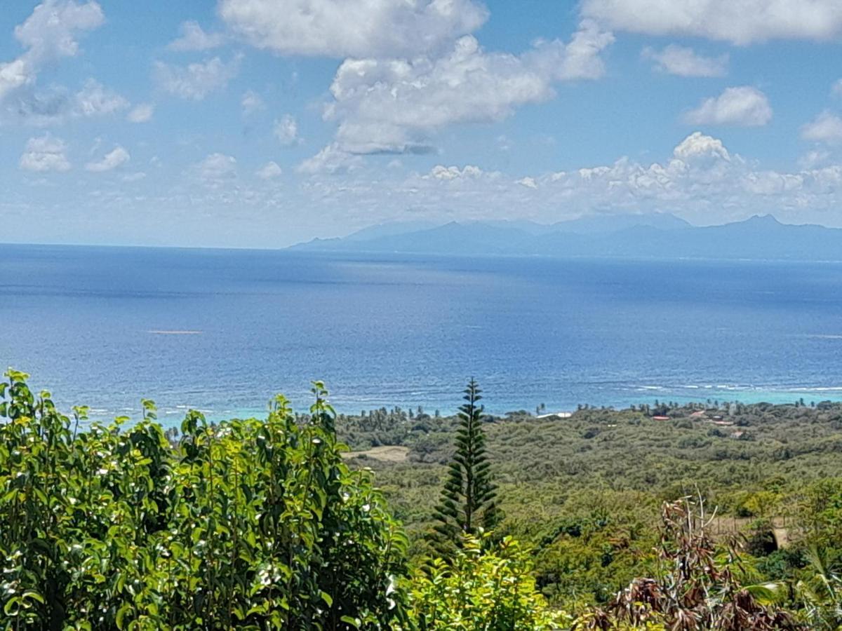 Domaine Des Tourterelles Villa Capesterre Bagian luar foto