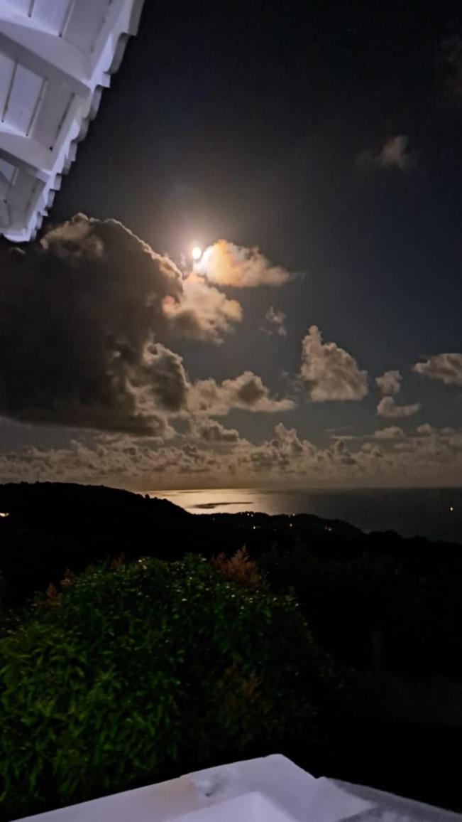 Domaine Des Tourterelles Villa Capesterre Bagian luar foto